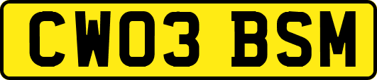 CW03BSM