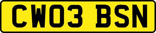 CW03BSN
