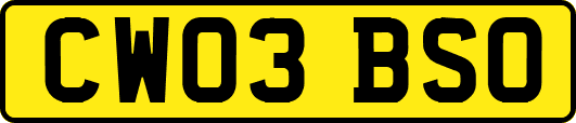 CW03BSO