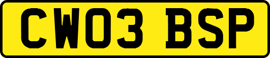 CW03BSP