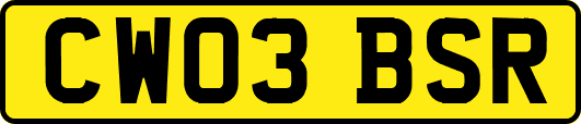 CW03BSR