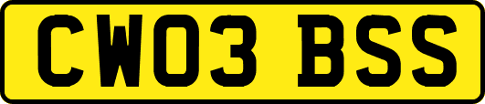 CW03BSS