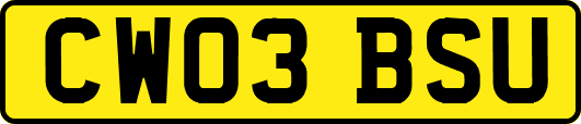 CW03BSU