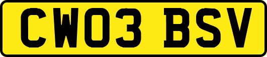CW03BSV
