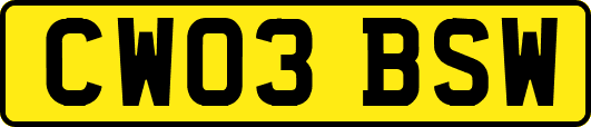 CW03BSW