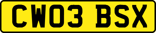 CW03BSX
