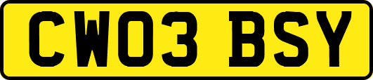 CW03BSY