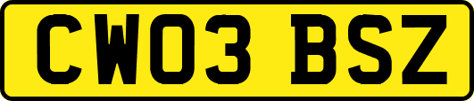 CW03BSZ