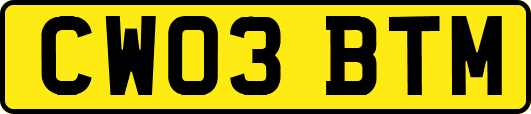 CW03BTM
