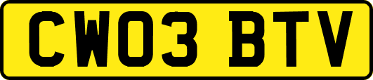 CW03BTV