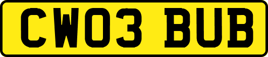 CW03BUB