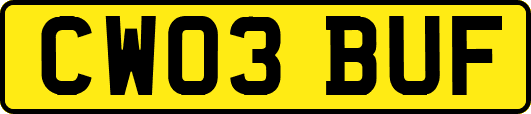 CW03BUF
