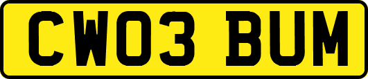 CW03BUM