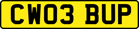 CW03BUP