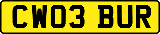 CW03BUR