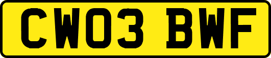CW03BWF