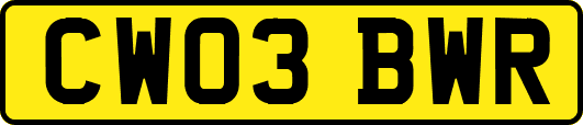 CW03BWR