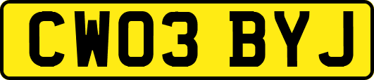 CW03BYJ