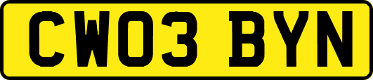 CW03BYN