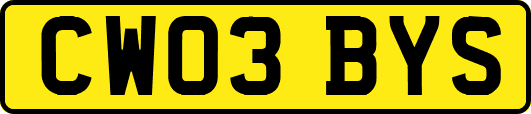 CW03BYS