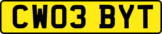 CW03BYT