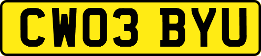 CW03BYU