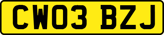 CW03BZJ
