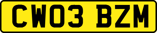 CW03BZM