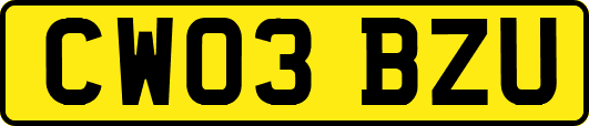 CW03BZU