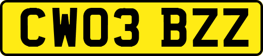 CW03BZZ