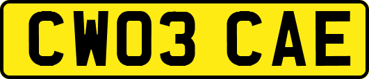 CW03CAE