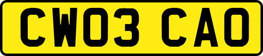CW03CAO