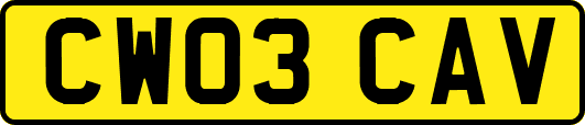 CW03CAV