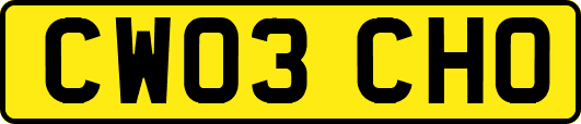 CW03CHO