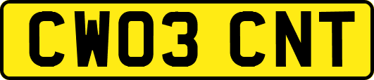 CW03CNT
