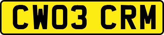 CW03CRM