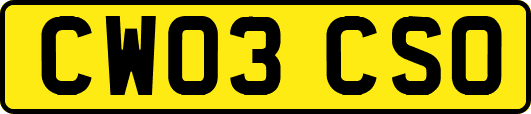 CW03CSO
