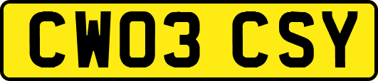 CW03CSY