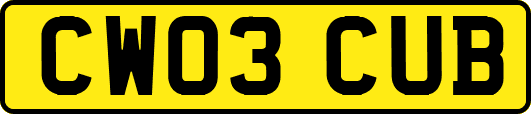 CW03CUB
