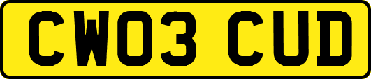 CW03CUD