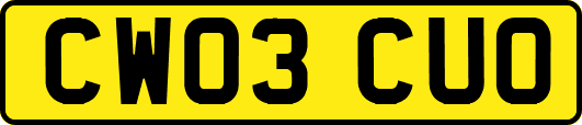 CW03CUO