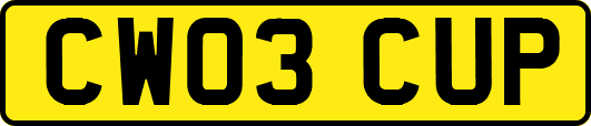 CW03CUP