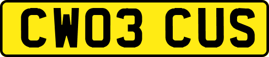 CW03CUS