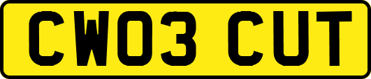 CW03CUT