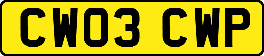 CW03CWP
