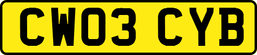 CW03CYB