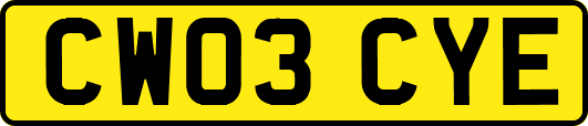 CW03CYE