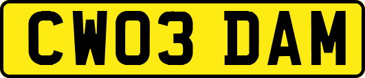 CW03DAM