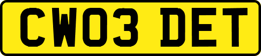 CW03DET