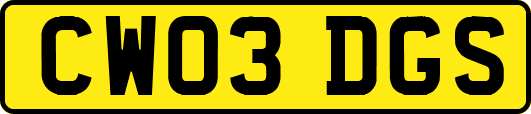 CW03DGS